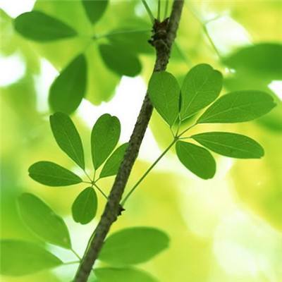规模首破2000亿，泸州银行减收增利！59岁行长请辞